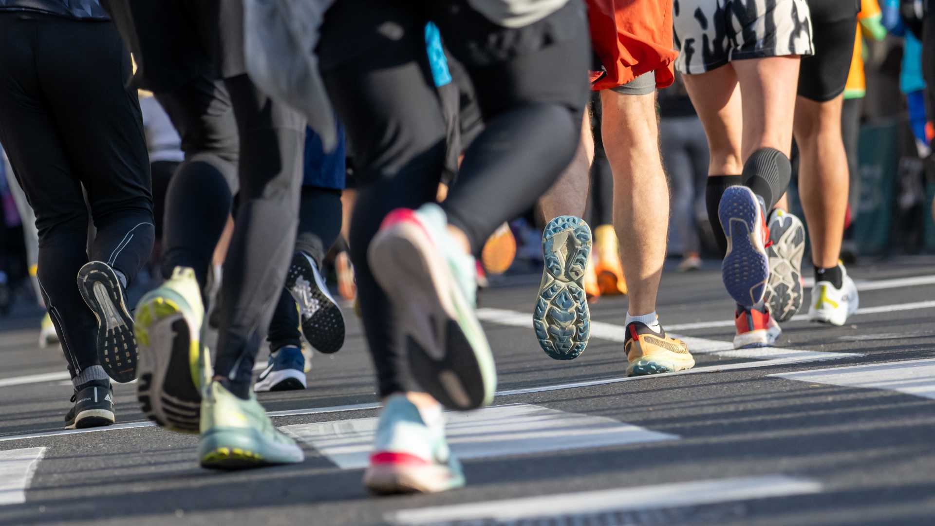 Cross de Perleta y Maitino en Elche