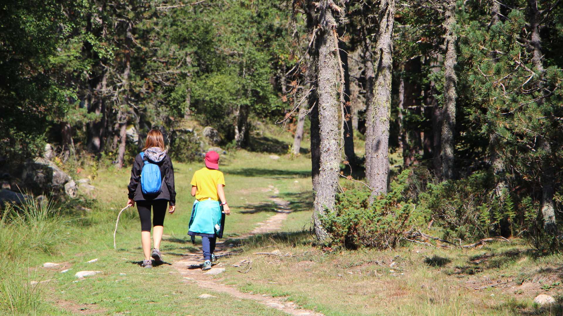 Raíces que educan, árboles que crecen: actividad en La Tinença de Benifassà