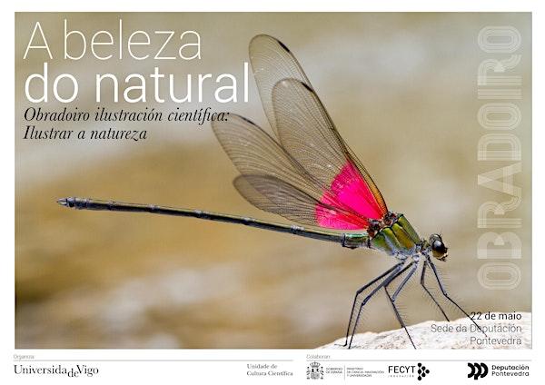 Ilustrar a natureza