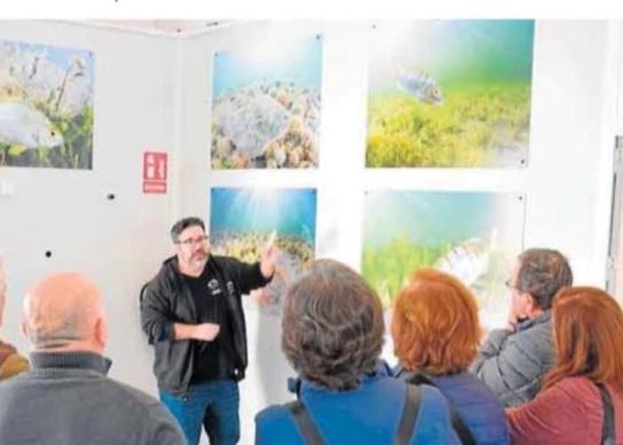 VISITAS GUIADAS A LA LONJA DE PESCADO DE LO PAGÁN