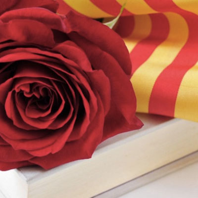 Sant Jordi a Vilanova i la Geltrú