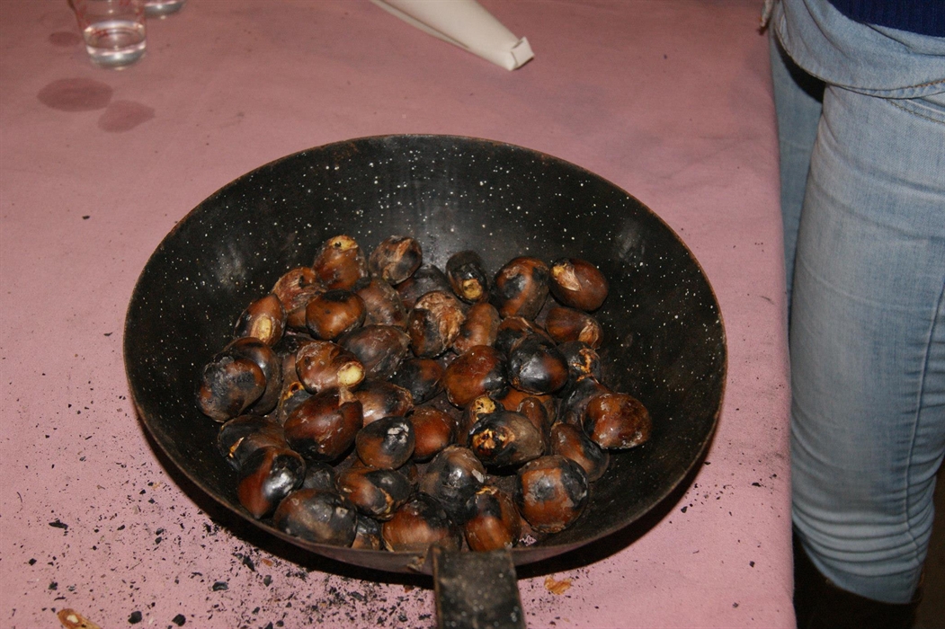 Tostón de castañas en Casares