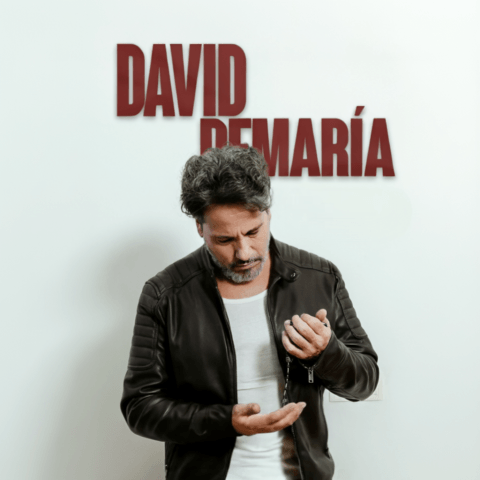 David DeMaría en concierto