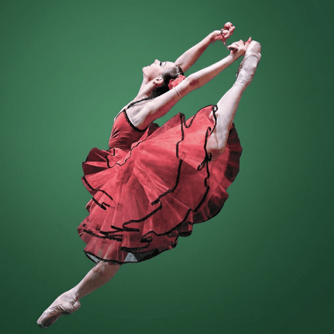 Stars Gala de Ballet Clásico