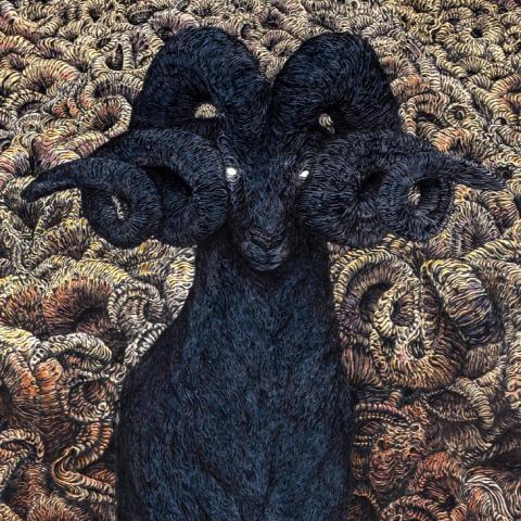 Exposición temporal: Una Luz Negra