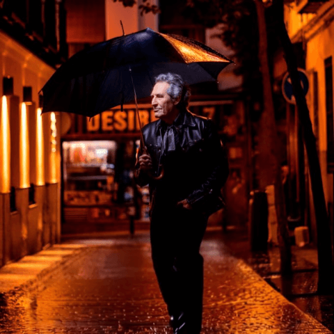 Miguel Ríos en concierto