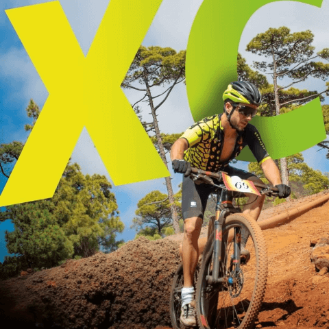 Hizcaguan Puntagorda