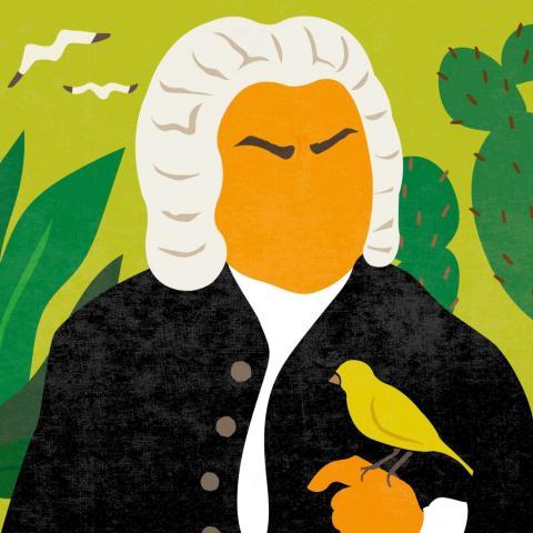 Aperitivo II: Internacional Bach Festival