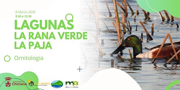 Las aves de las Lagunas de la Rana Verde y la Paja 8 Marzo 2026 Chiclana
