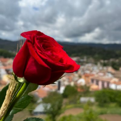 Setmana Cultural de Sant Jordi a Arbúcies
