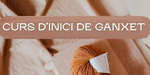 CURS D'INICI DE GANXET