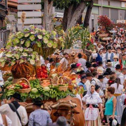 Romería ofrenda a Santiago de los Caballeros