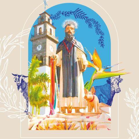 Fiestas en honor a San Antonio Abad