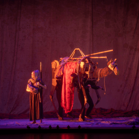 Sahara: La Barca del Desierto