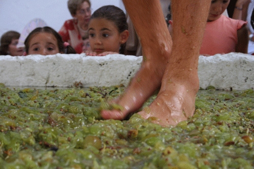 Fiesta de la Vendimia en Manilva