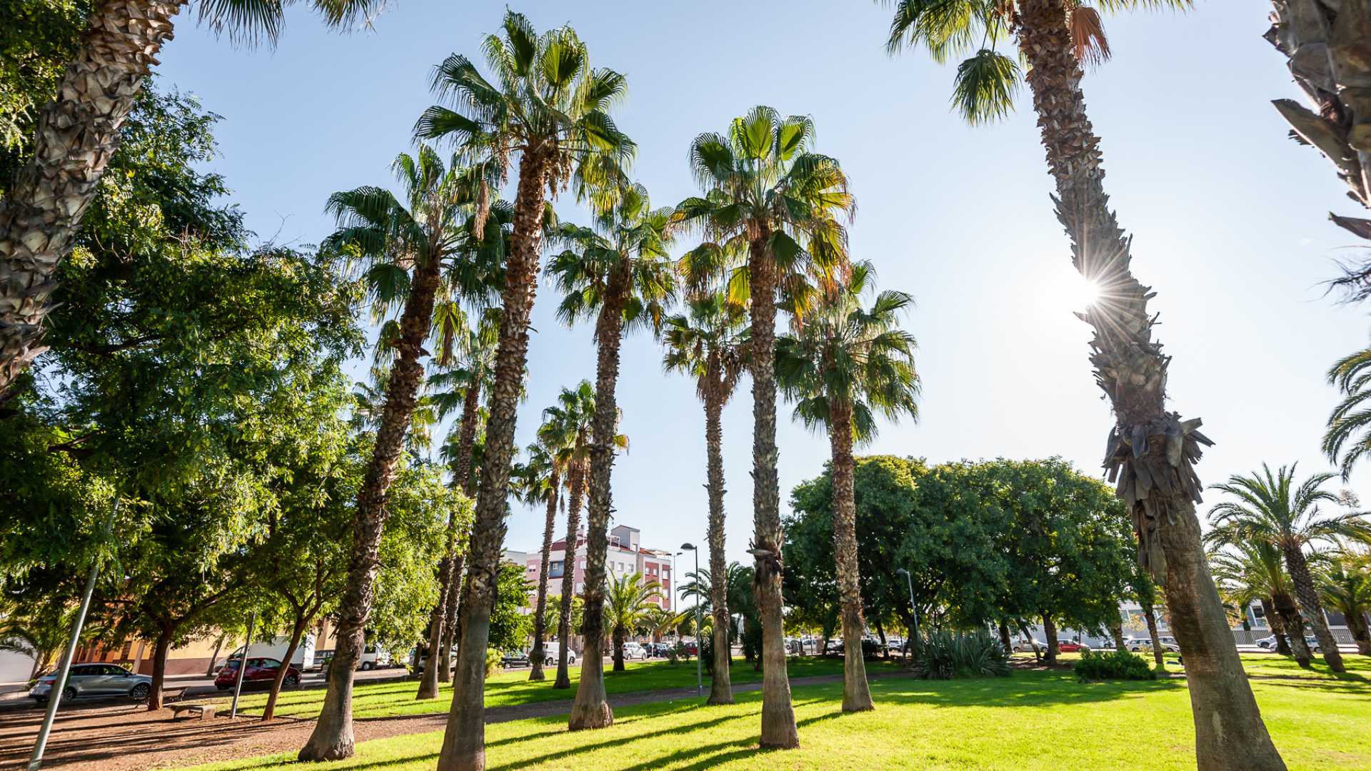 Maratón Infantil Salera 26 en Castellón de la Plana