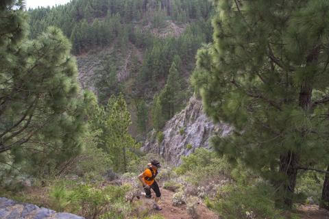Circular Brutal Trail