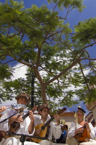 Baile de Magos de Frontera