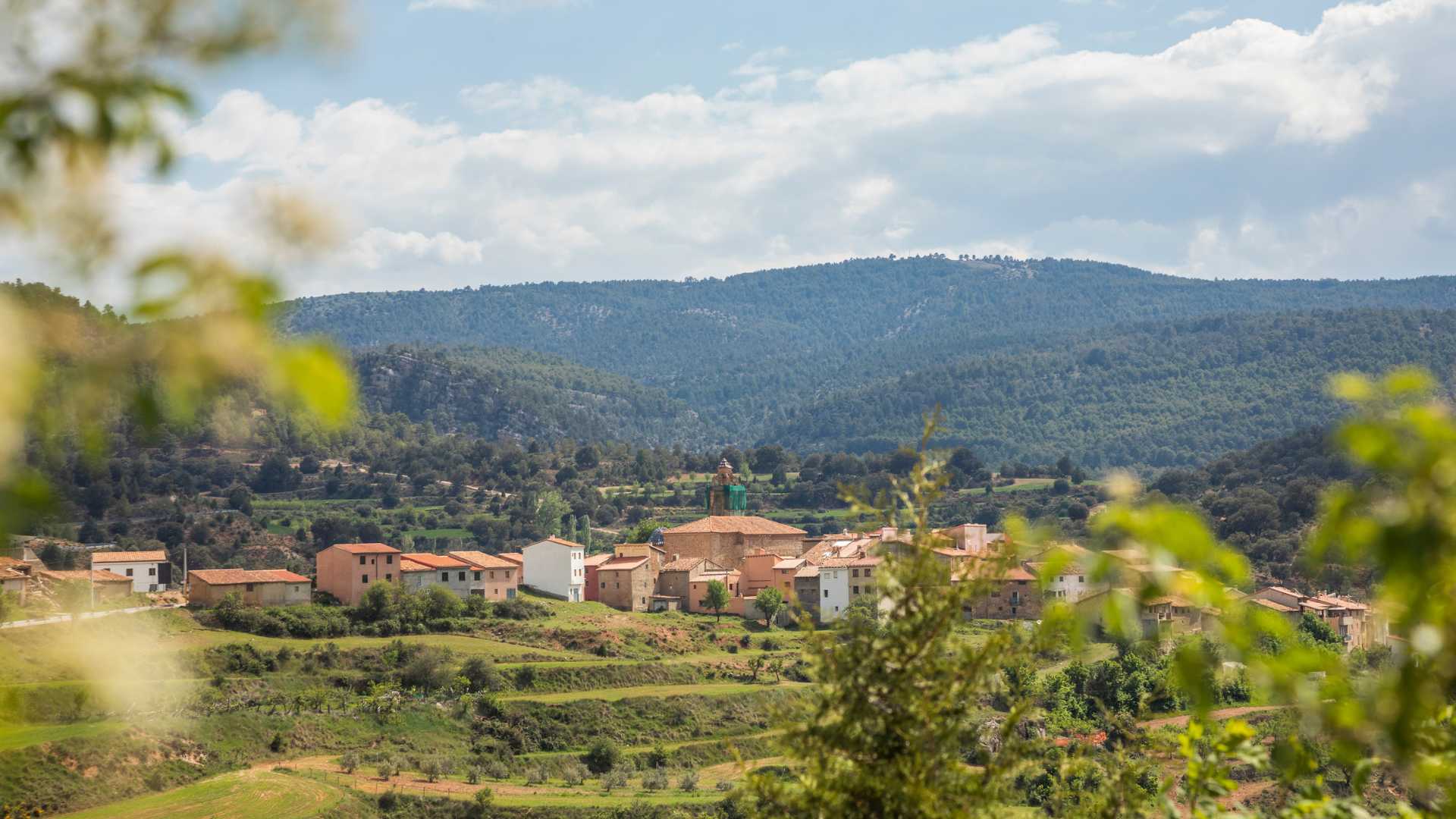 Sembrando biodiversidad: actividad en el Parque Natural de la Puebla de San Miguel