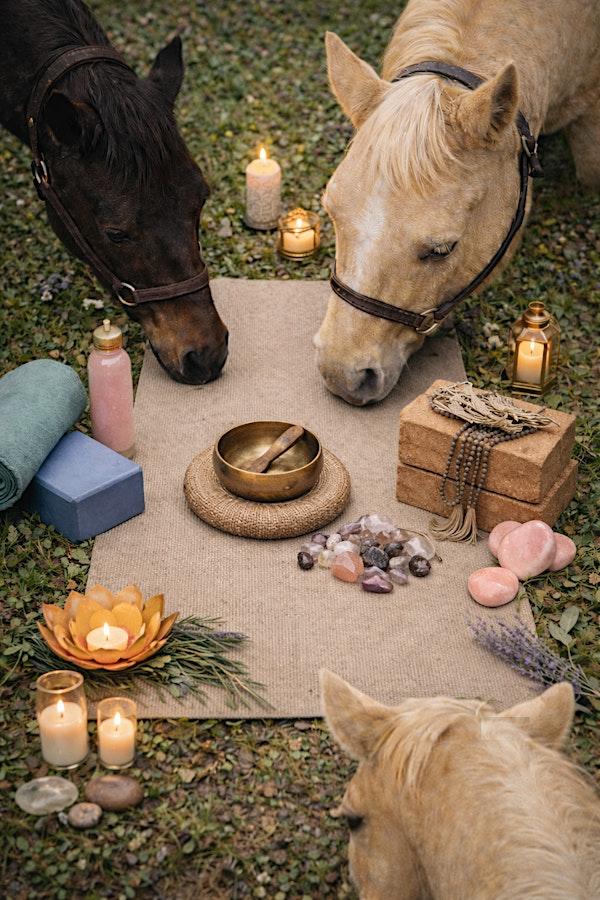 YOGA con caballos - YOGA with horses