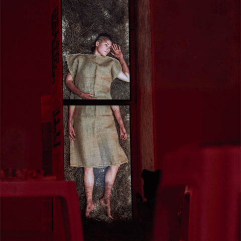 Exposición Temporal: Xaxo