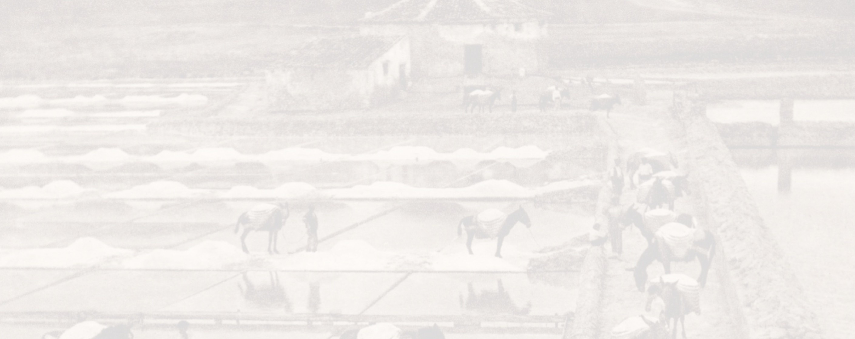 III Jornadas de Patrimonio "Entre Patrimonio y Arquitectura, el Paisaje Cultural: un valor a proteger"