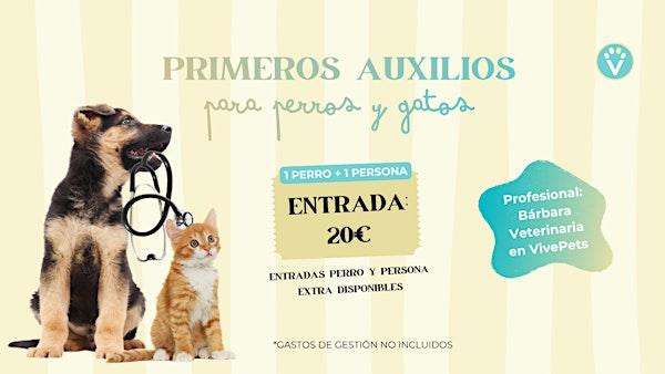 Clase de primeros auxilios PERROS Y GATOS