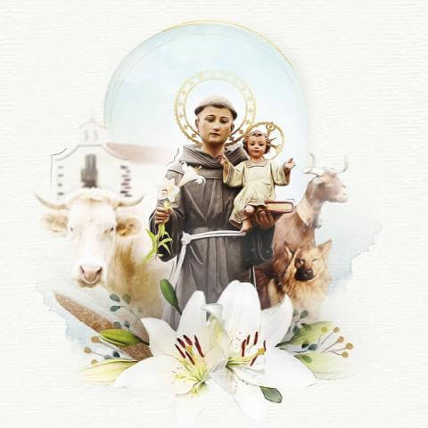 Fiestas de San Antonio del Monte