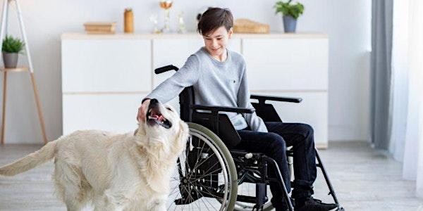 Petjades Solidàries