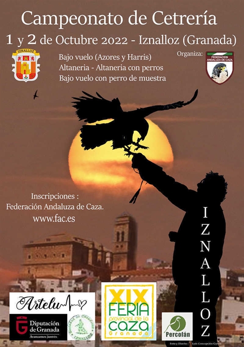 Campeonato de Cetrería