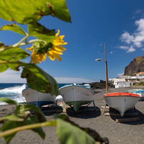 Romería de la Virgen del Carmen