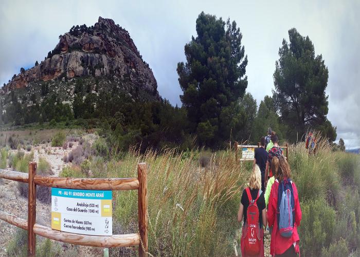 PASEANDO POR LA MONTAÑA MÁGICA