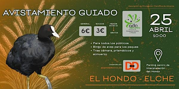 Avistamiento de aves