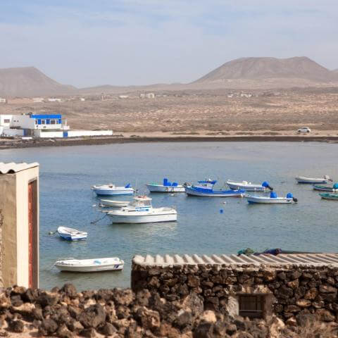 Romería de Majanicho