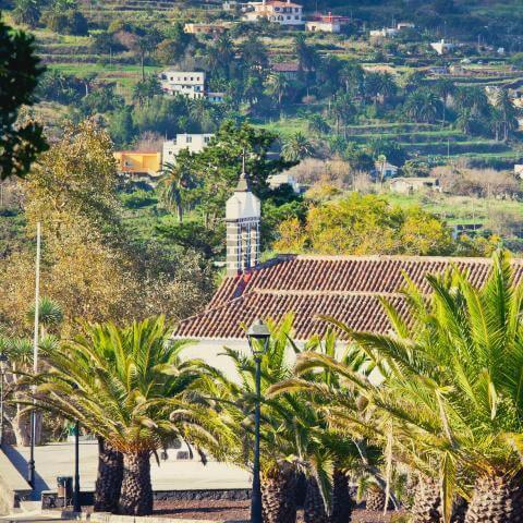 Fiestas de San Pedro Apóstol