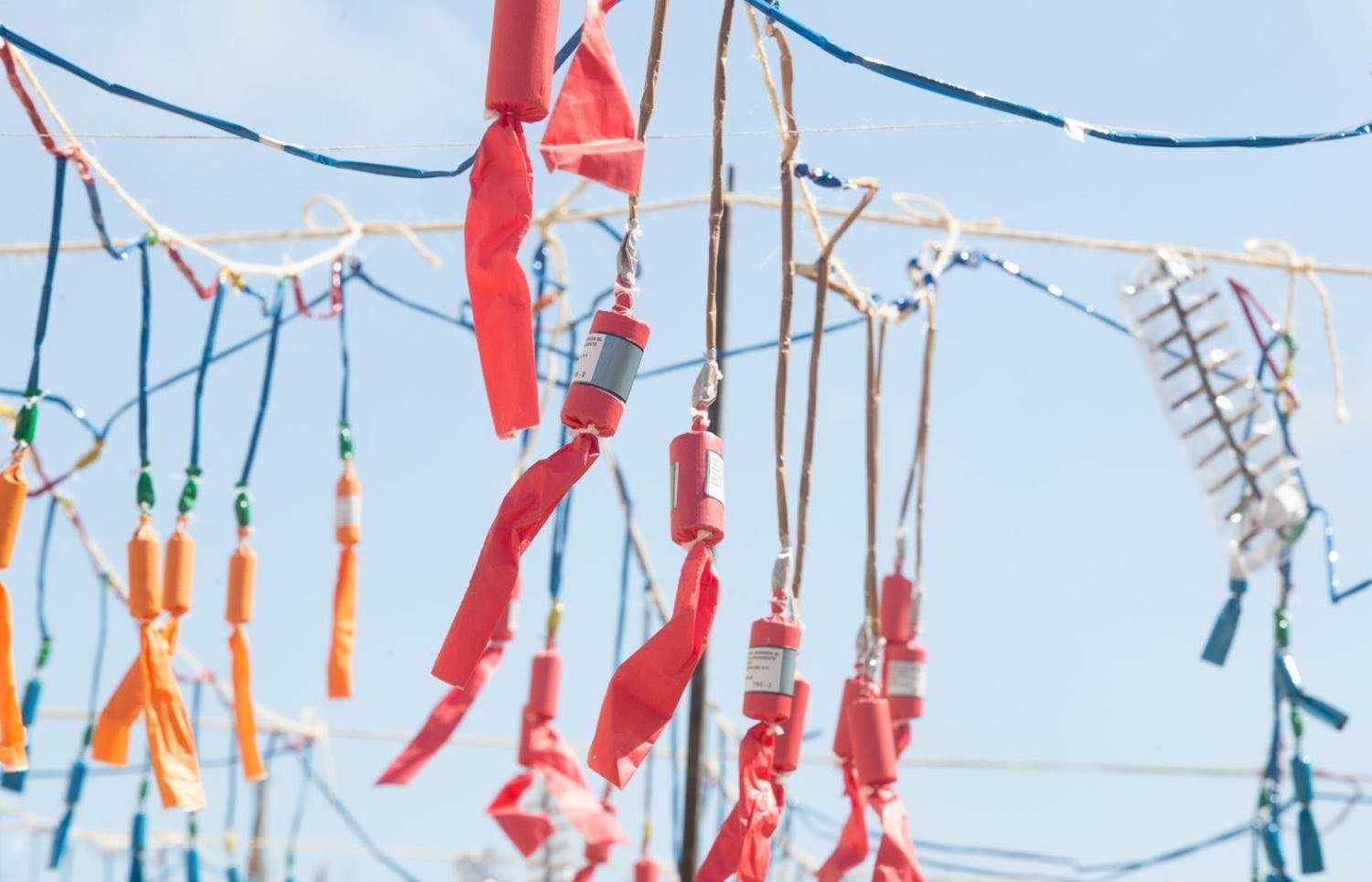 Visita guiada Fallas de Oliva