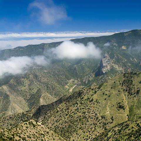 Trail Barranco del Ingenio