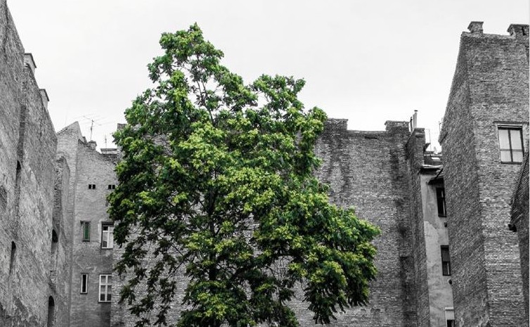 Conferencia "La ciudad bioclimática. Urbanismo y salud"