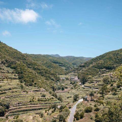 Fiestas de San Isidro Labrador en La Palmita