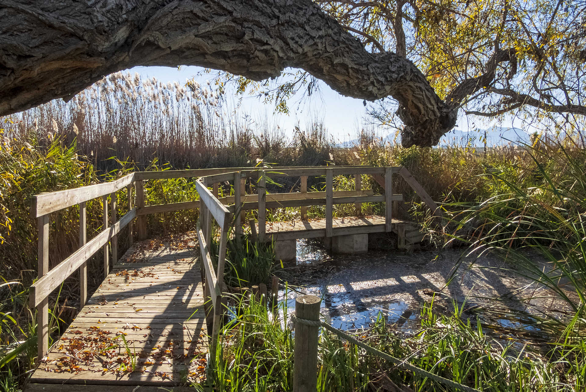 VISITAS GUIADAS A LA LAGUNA DEL SAMARUC Y PARED DEL MOLINET