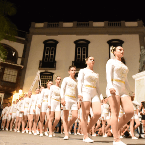 Danza de acróbatas