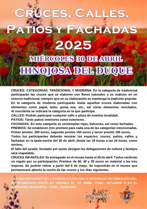 Concurso de Cruces, patios, balcones y fachadas