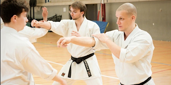 Goju Ryu Studio Karate: Adultos 15+