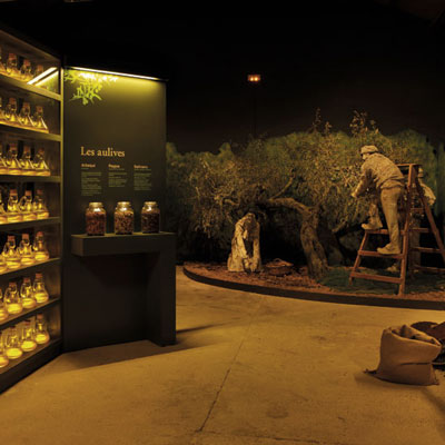 Visita guiada al Molí de Vandellòs