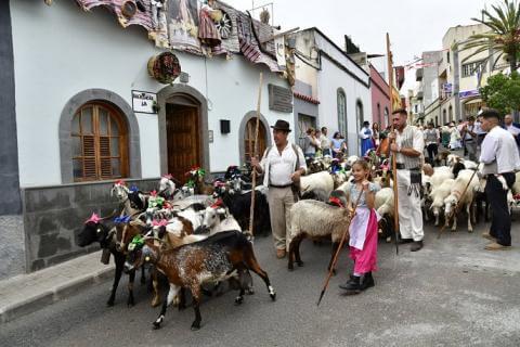 Romería de Arucas