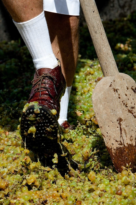 Fiestas de la Vendimia