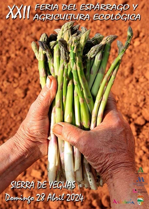 Feria del Espárrago Sierra de Yeguas