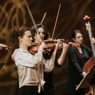 Concert de Lorenza Borrani amb la Camerata Penedès