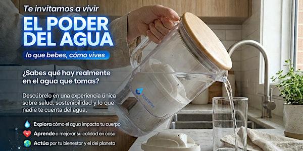 El Poder del Agua: lo que bebes, cómo vives