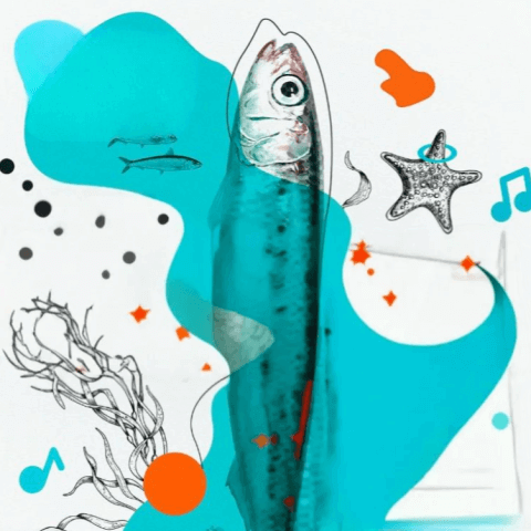 Festival Sardina Viva